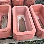 DİKDÖRTGEN BÜYÜK ÇİÇEKLİK