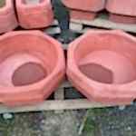 ALTI GEN ÇİÇEKLİK